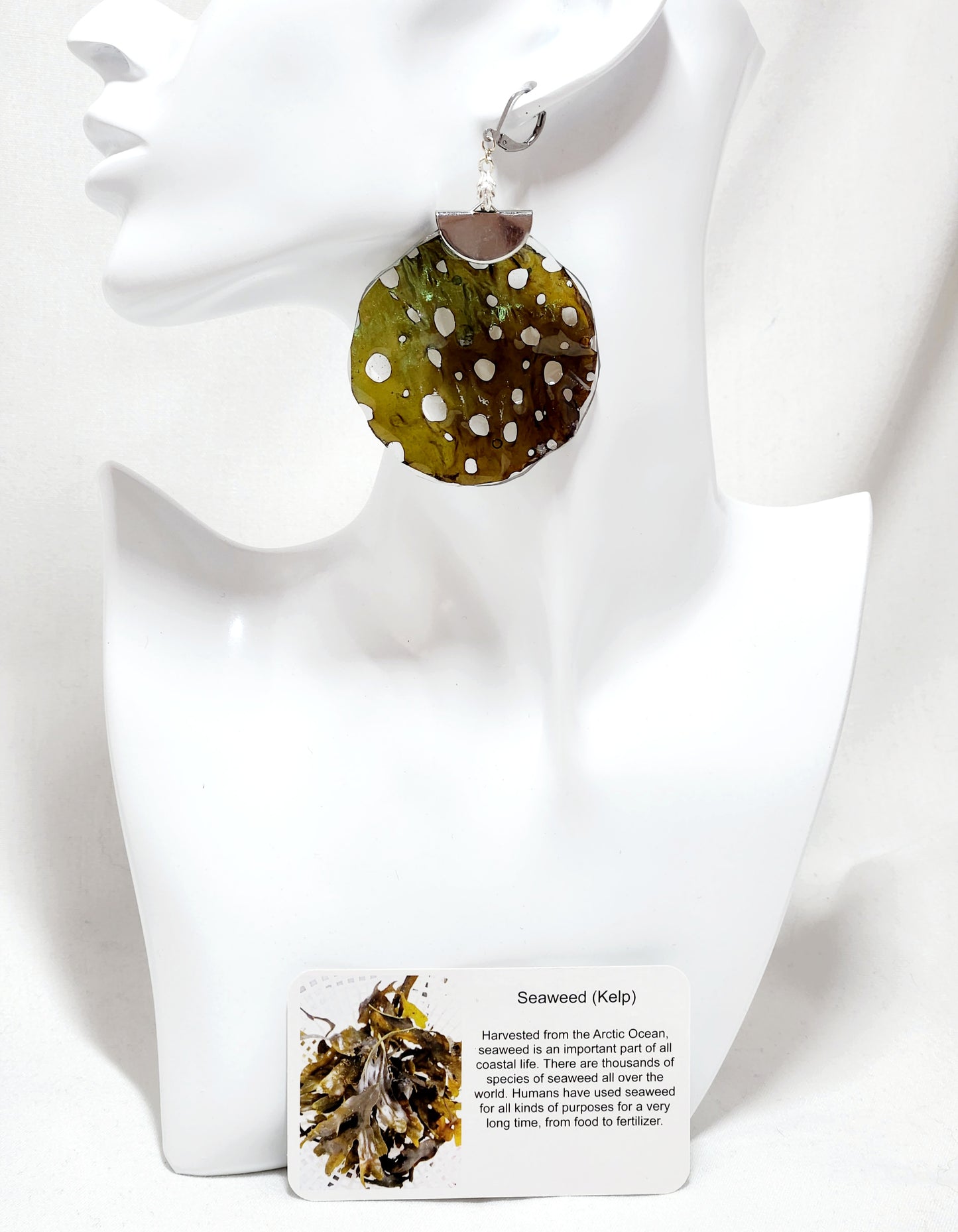 Seaweed earrings