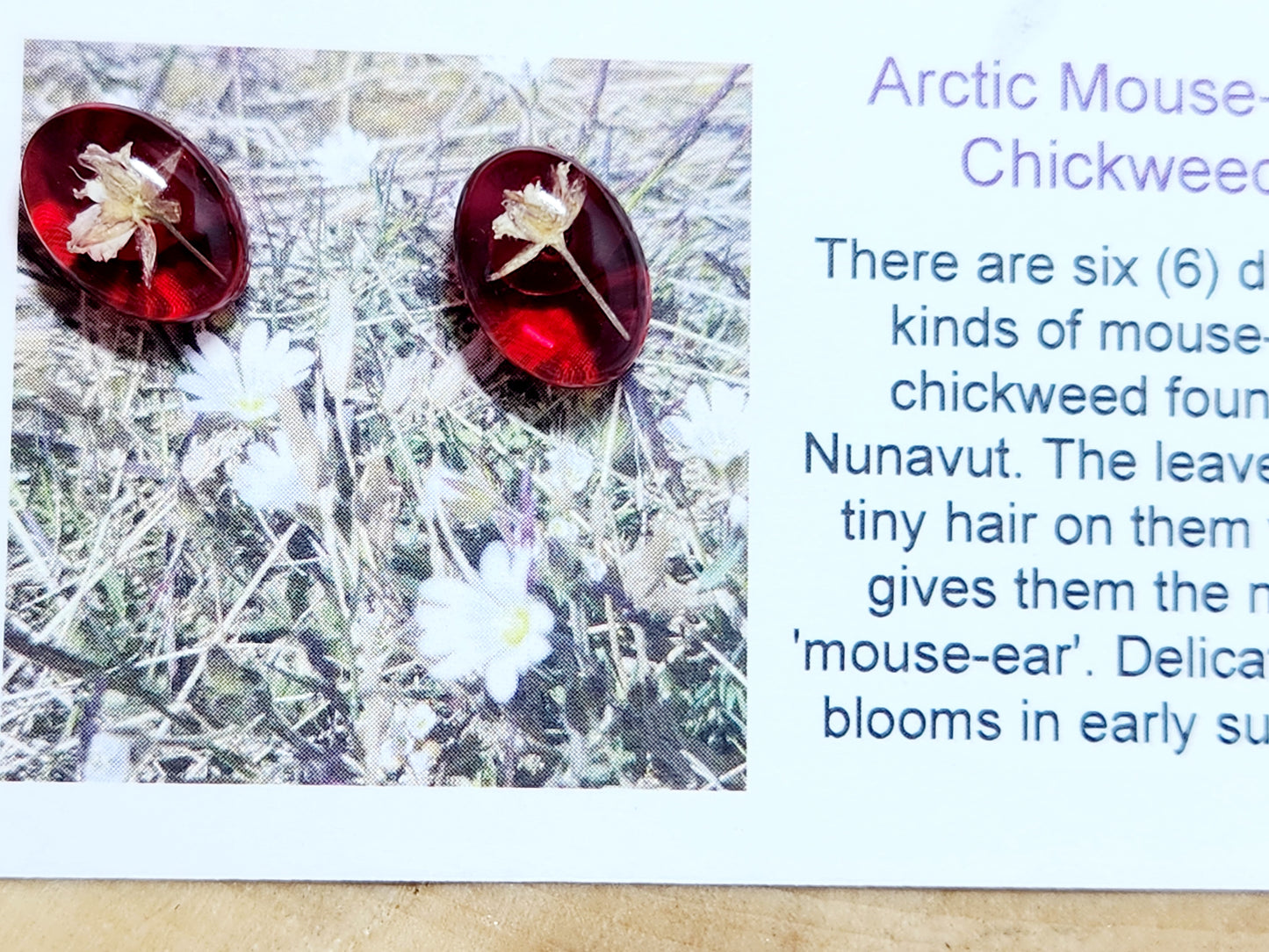 Tundra flower earrings