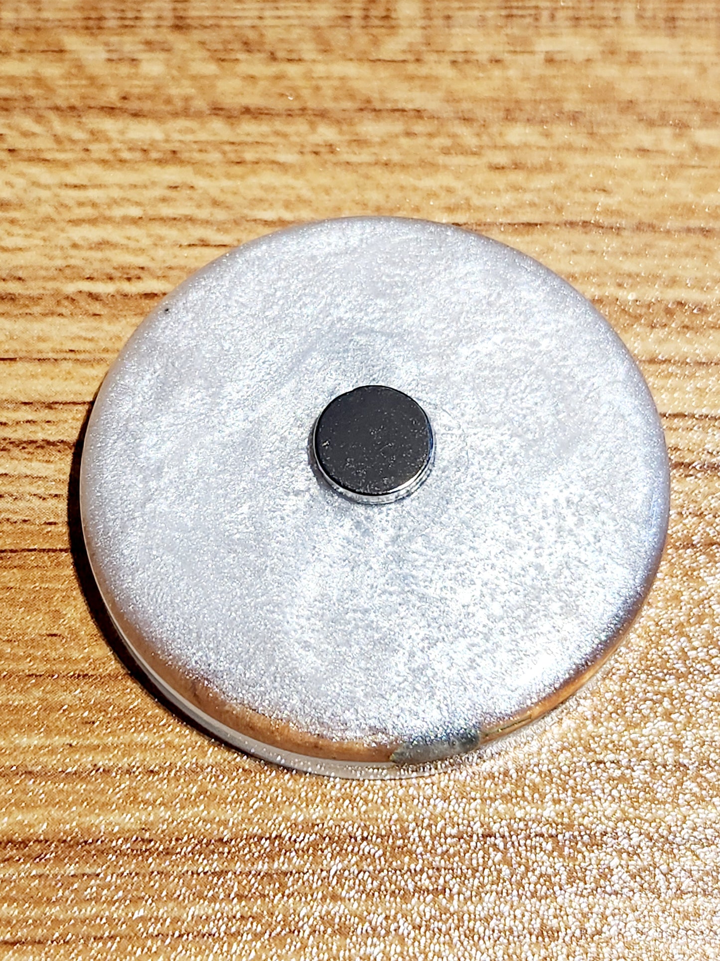 Art magnets with pretty tundra bits