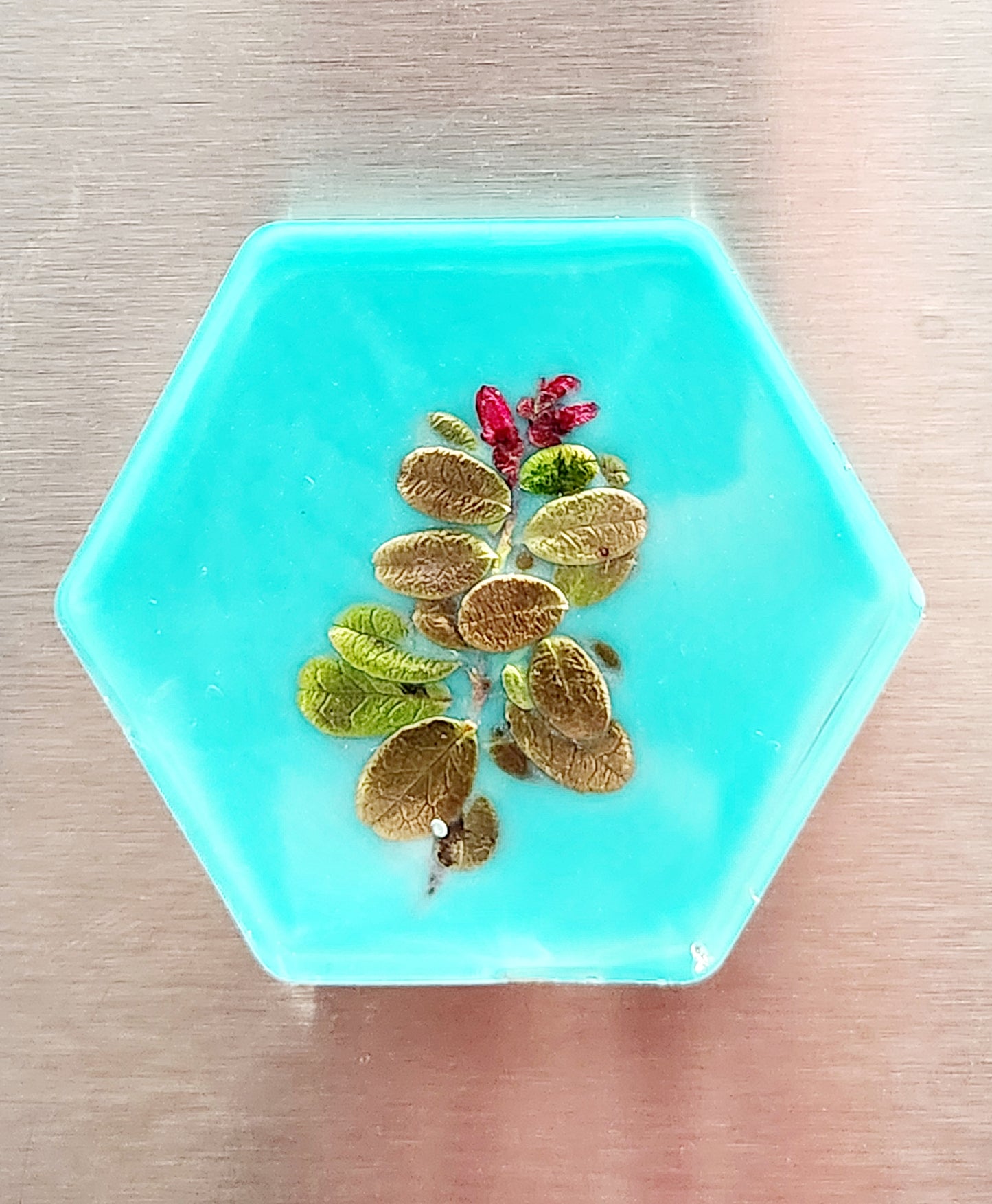 Art magnets with pretty tundra bits