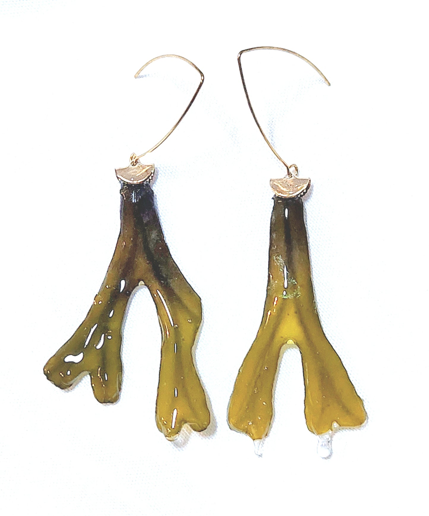 Seaweed earrings